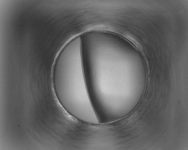 X0000074241392200608250831