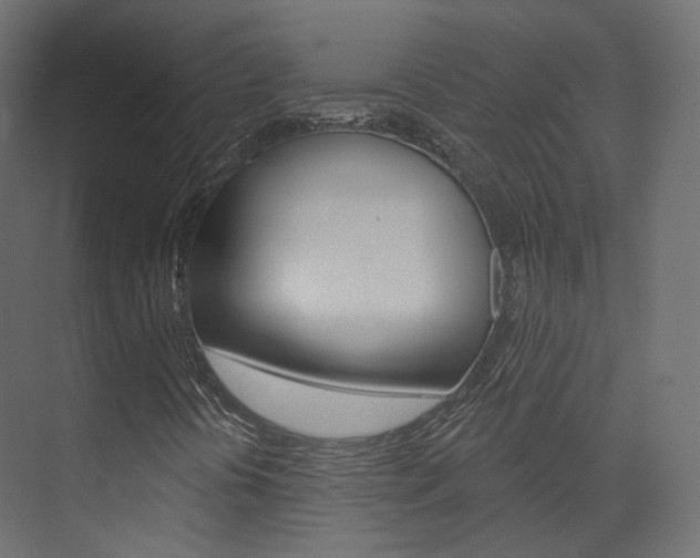 X0000074241394200608250830