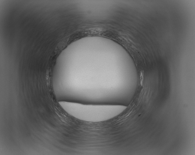 X0000074241395200608250830