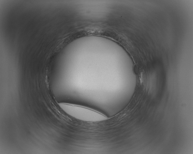 X0000074241396200608250830