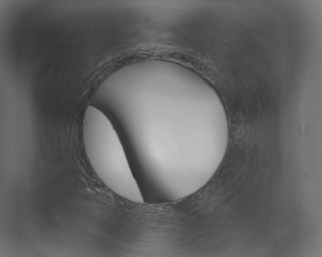 X0000074241397200608250830