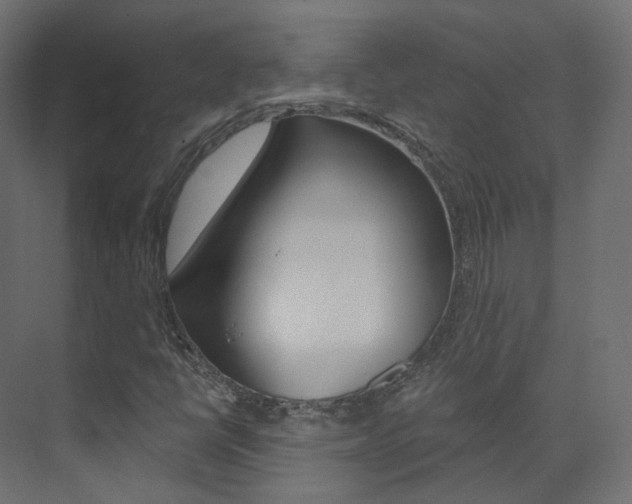 X0000074241398200608250830
