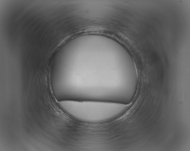 X0000074241401200608250830