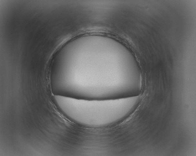 X0000074241405200608250830