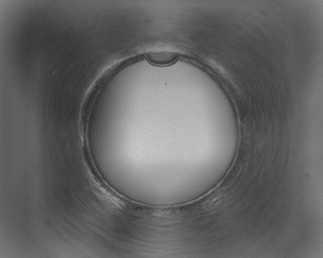 X0000074241408200608250830