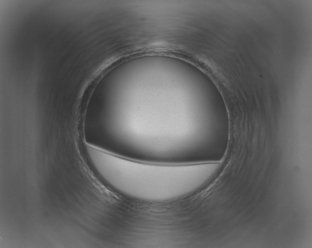 X0000074241410200608250830