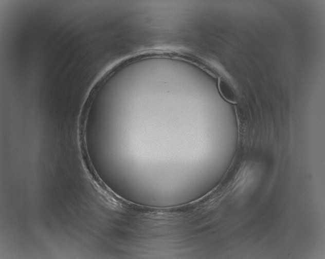 X0000074241412200608250830