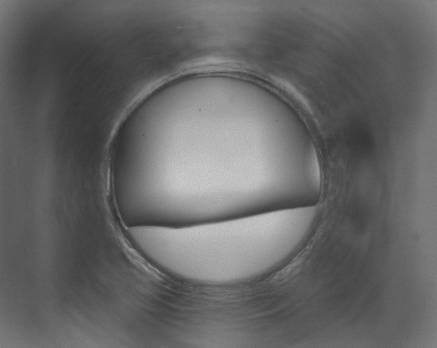X0000074241413200608250830