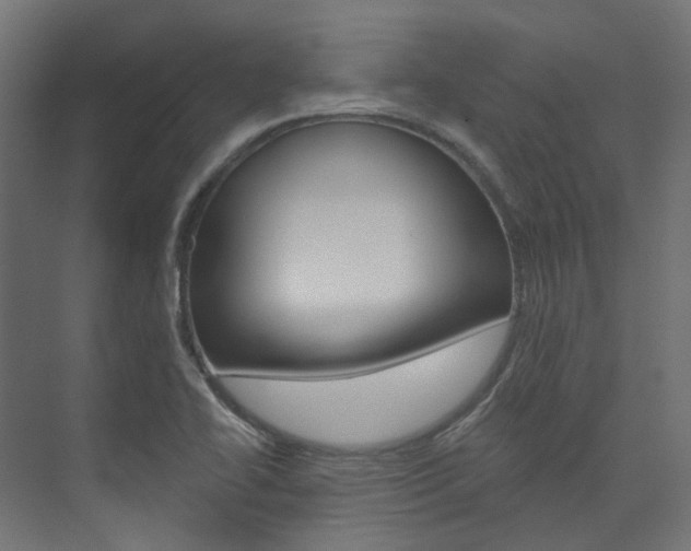 X0000074241414200608250830