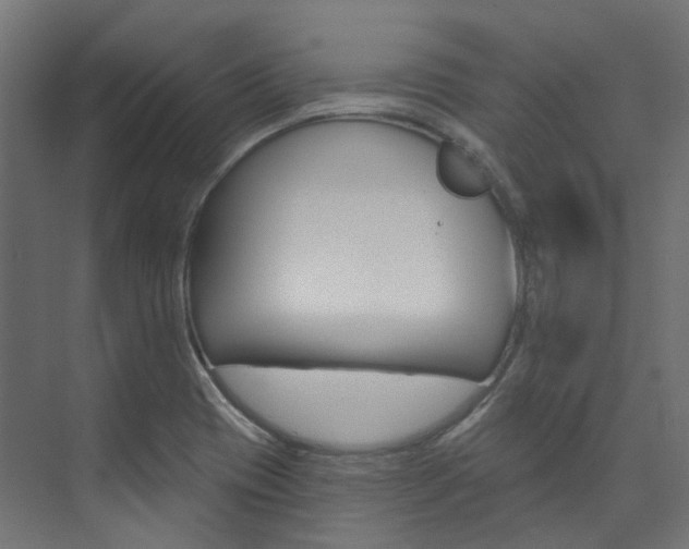 X0000074241417200608250830