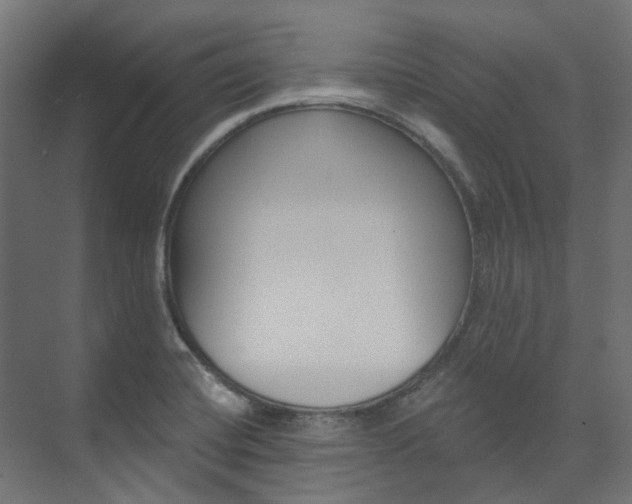 X0000074241420200608250830