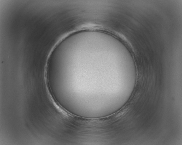 X0000074241421200608250830