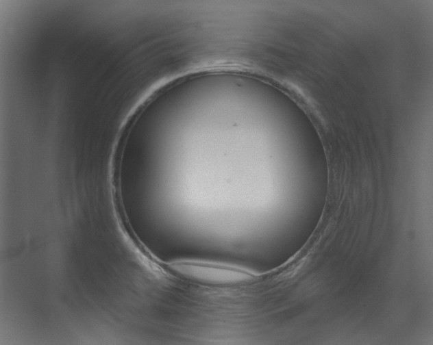 X0000074241422200608250830