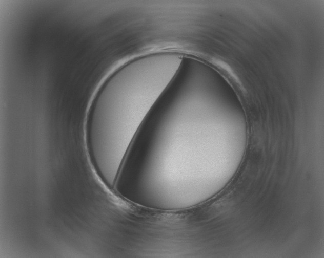 X0000074241424200608250830