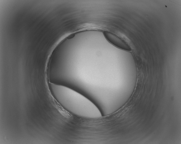 X0000074241427200608250830