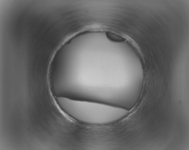 X0000074241429200608250830