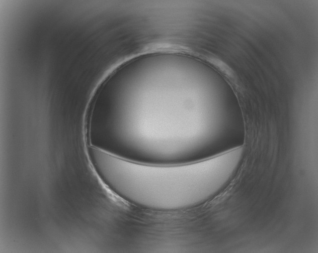 X0000074241430200608250830