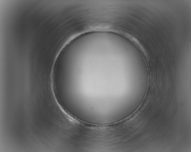 X0000074241432200608250830