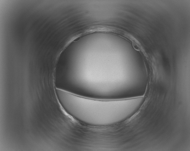 X0000074241433200608250830