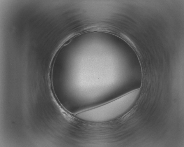 X0000074241434200608250830