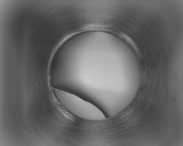 X0000074241435200608250831
