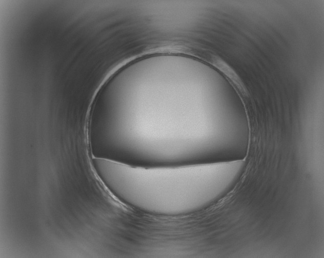 X0000074241436200608250831