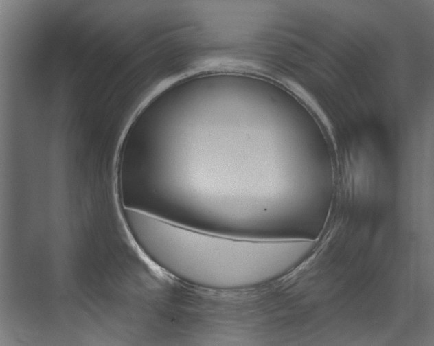 X0000074241437200608250831