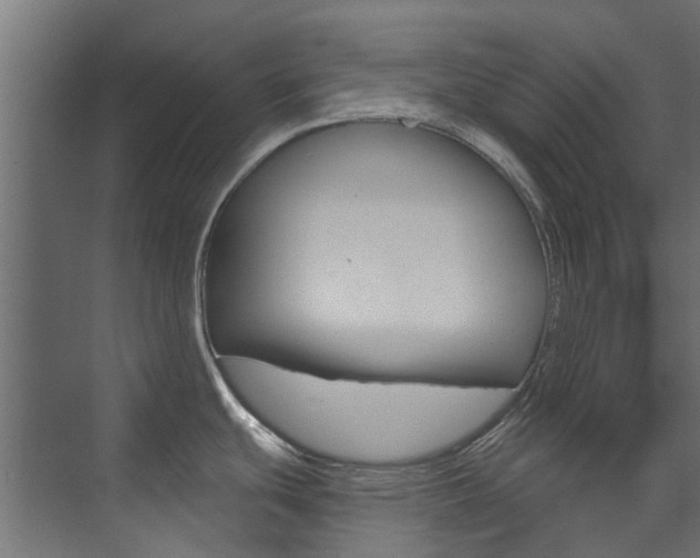 X0000074241439200608250831