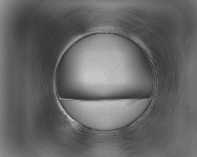 X0000074241440200608250831