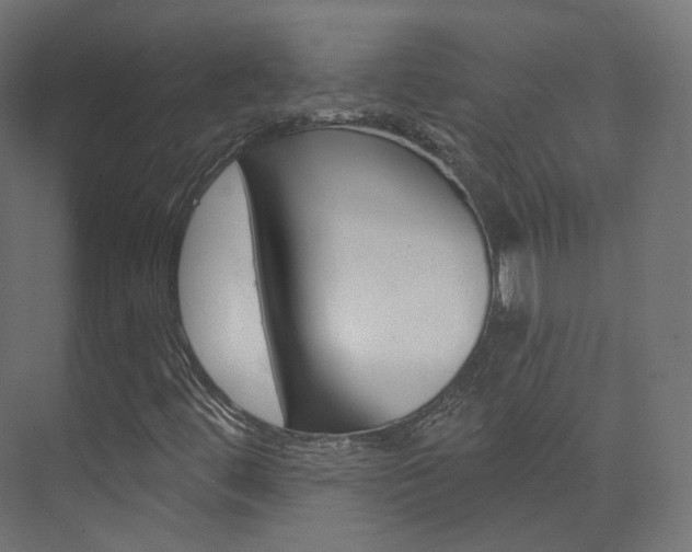 X0000074241444200608250830