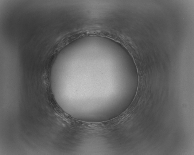X0000074241445200608250830