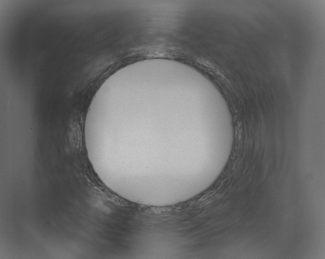 X0000074241446200608250830