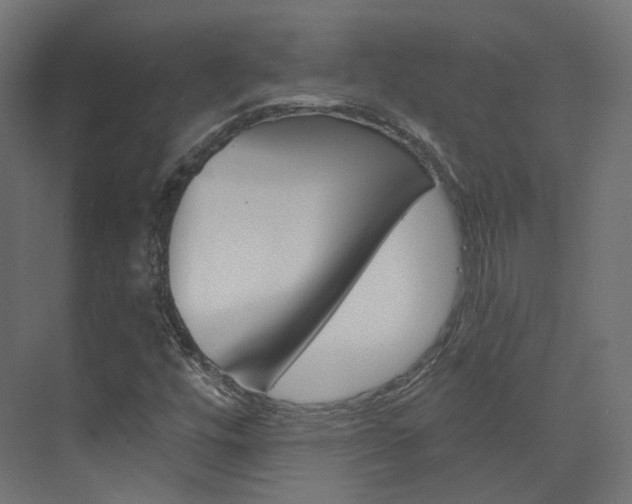 X0000074241448200608250830