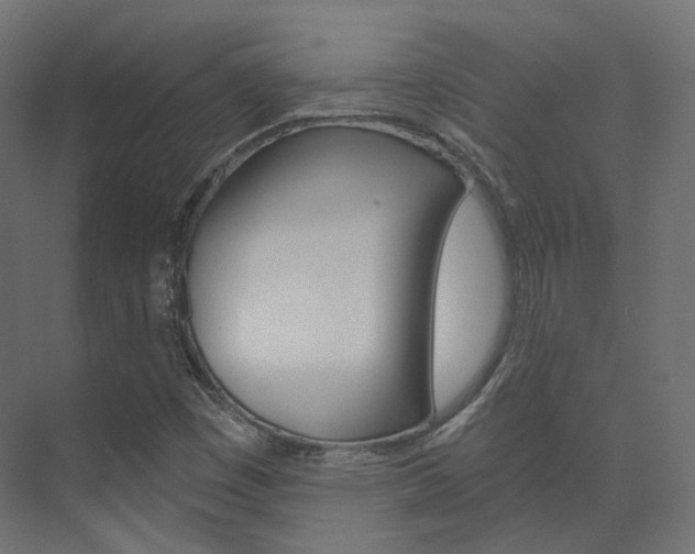 X0000074241449200608250830