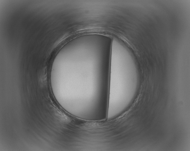 X0000074241450200608250830