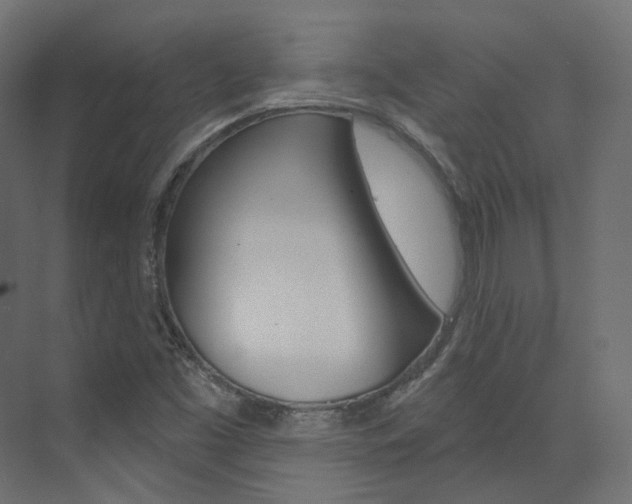 X0000074241453200608250830