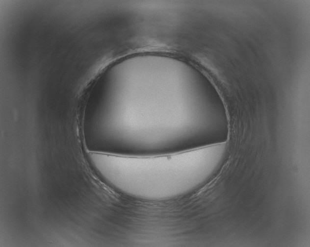 X0000074241455200608250830