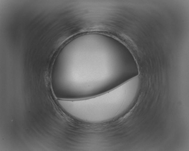 X0000074241457200608250830