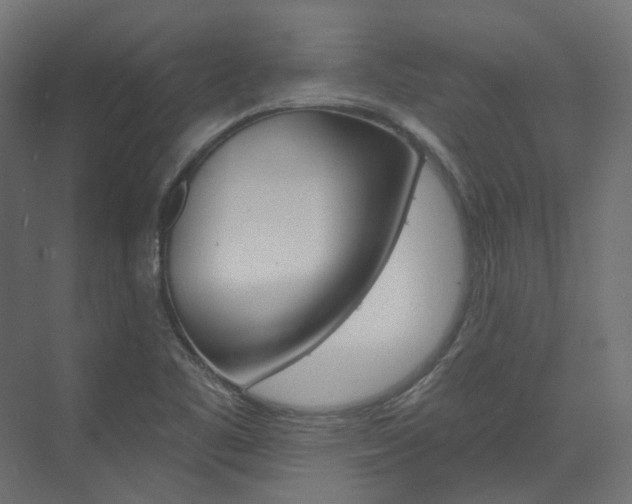 X0000074241461200608250829