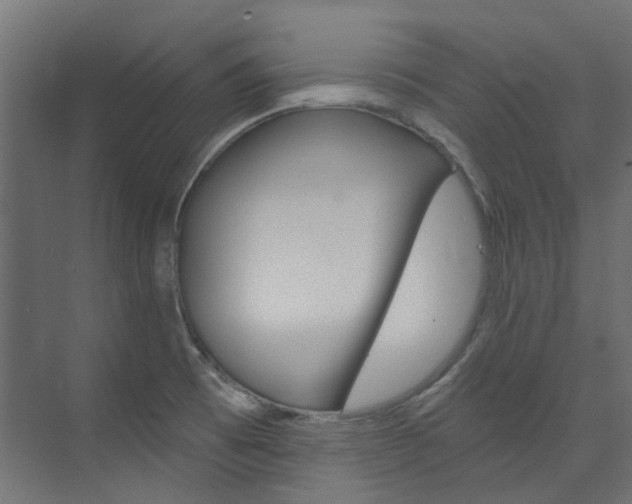 X0000074241473200608250829