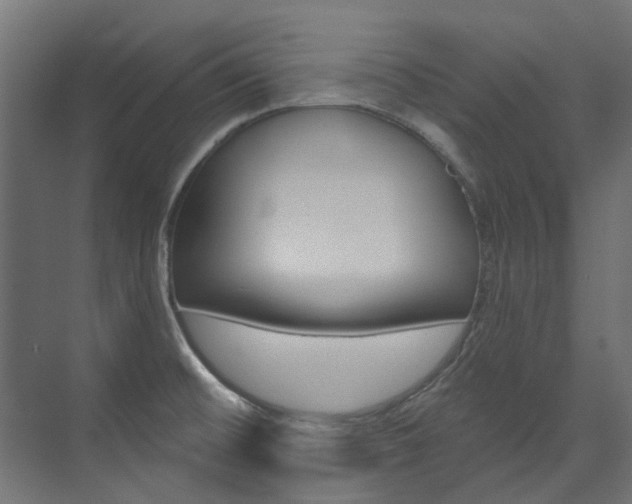 X0000074241476200608250829
