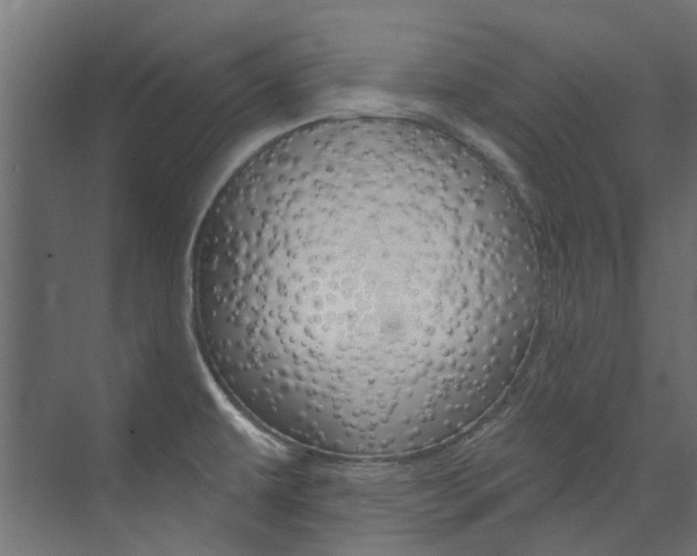 X0000074241479200608250829