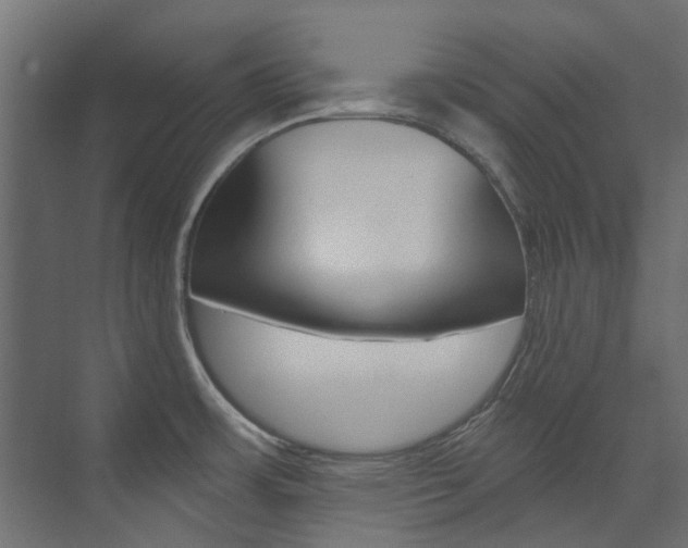 X0000074241483200608250829