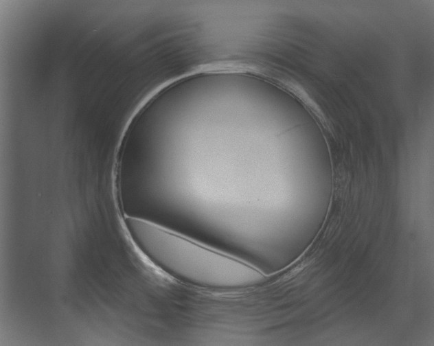 X0000074241484200608250829