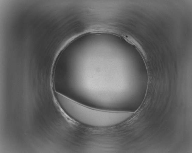 X0000074241485200608250829