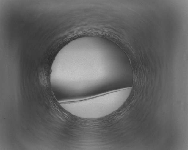 X0000074241490200608250828