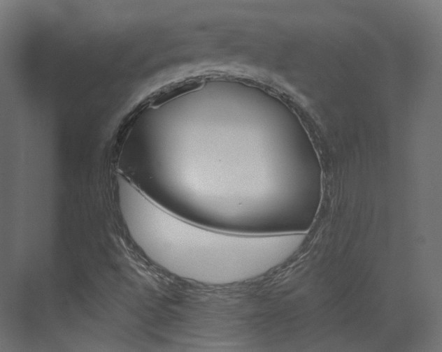 X0000074241496200608250828