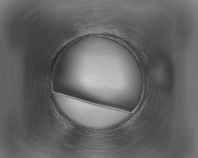 X0000074241497200608250828