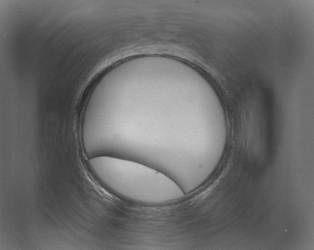 X0000074241498200608250828