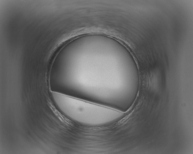 X0000074241499200608250828